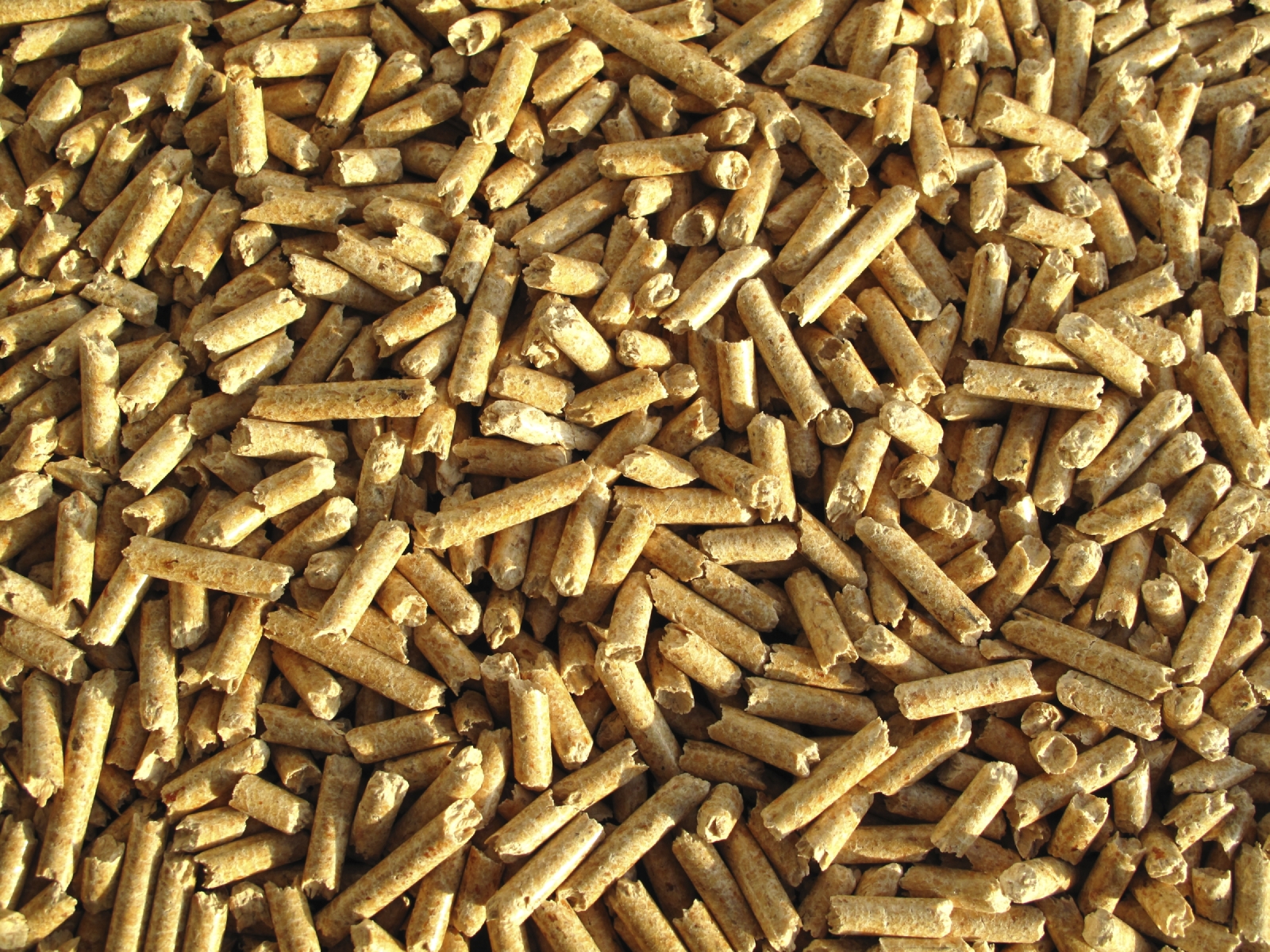 Biomass.jpg