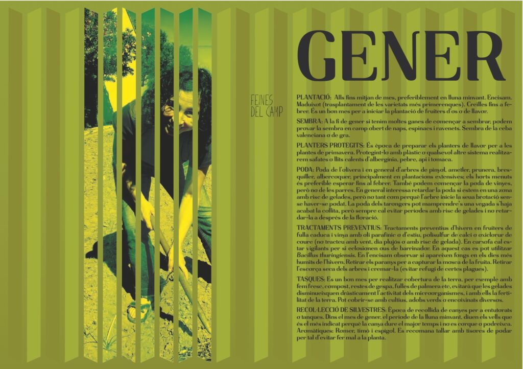 calendari_2012_gener.jpg