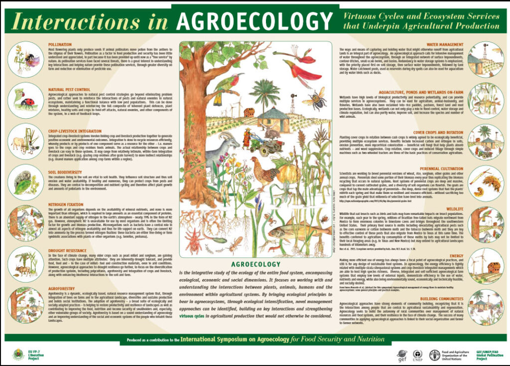 agroecologia-FAO.jpg