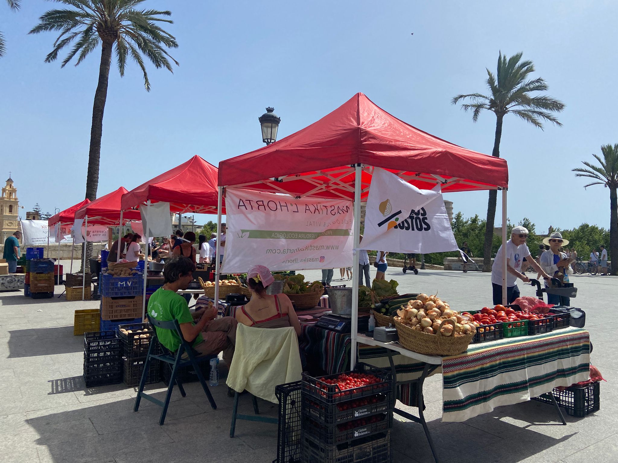 preus justos mercat creilla ceba