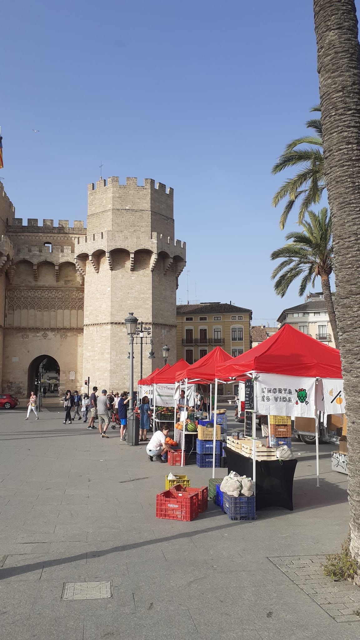 preus justos mercat creilla ceba